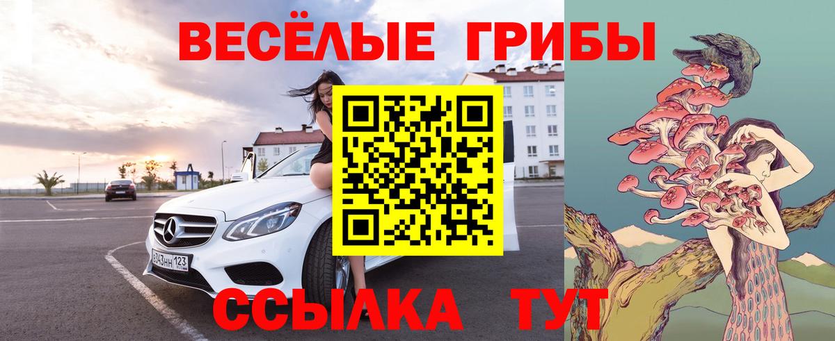 Псилоцибиновые грибы мицелий Лосино-Петровский